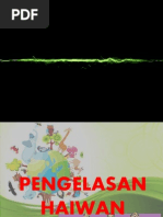 Pengelasan Haiwan