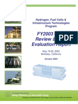 Review Hydrogen Fuel Cells, PDF