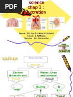 (Form3/SC) Chapter 3: Excreation