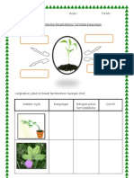 Latihan Gerakbalas Tumbuhan
