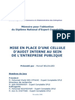 Download Mise en place dune cellule daudit interne au sein de lentreprise publique by Hajar Ben SN162159483 doc pdf