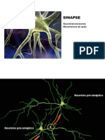 3_sinapse_nt_mecanismo