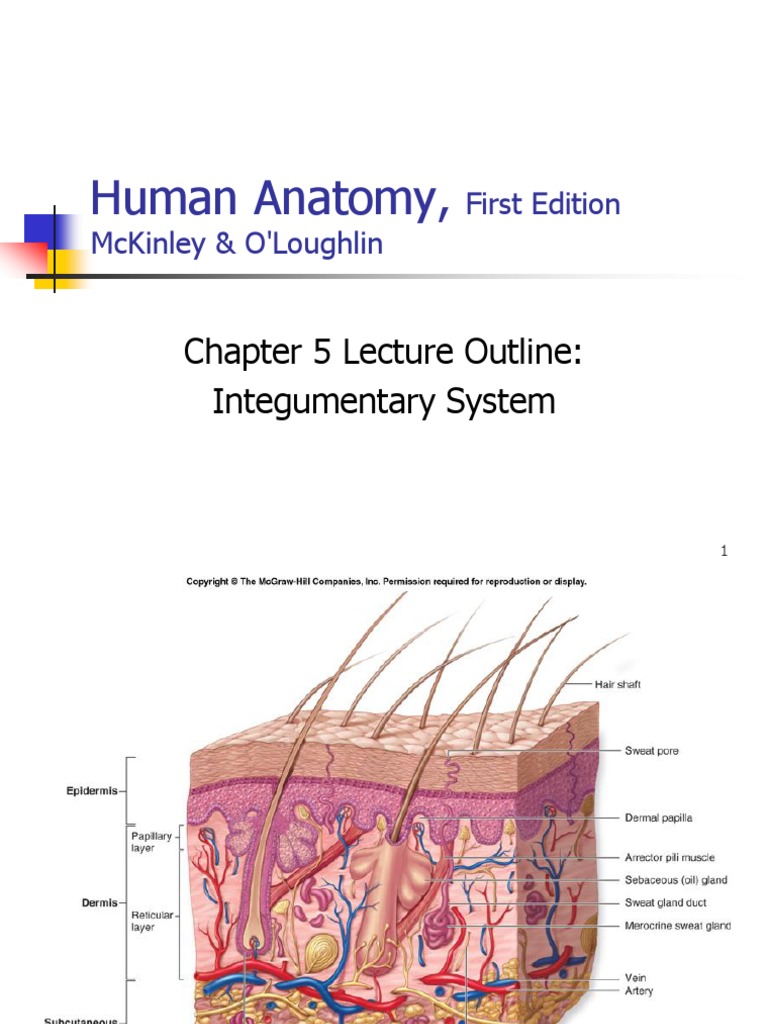 ngn case study 1 integumentary