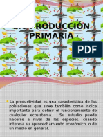 Produccion Primaria