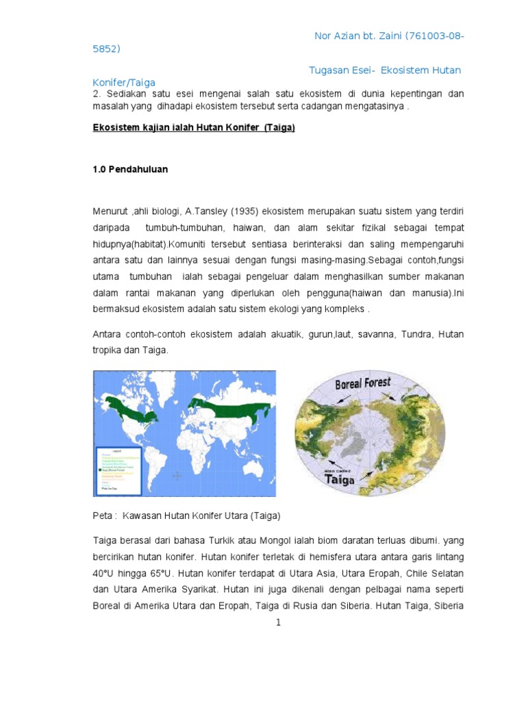 Tugasan Esei Yan Pdf