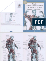 Guia Anatomica de Musculacion