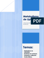 Metabolismo de Lipidos