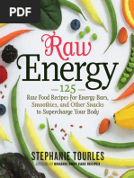 Download Raw Energy Sample book design and layout by Stephanie Tourles SN16224903 doc pdf