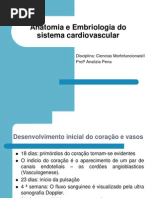Aula 01 Anatomia e Embriologia e Fisiologia Cardiaca