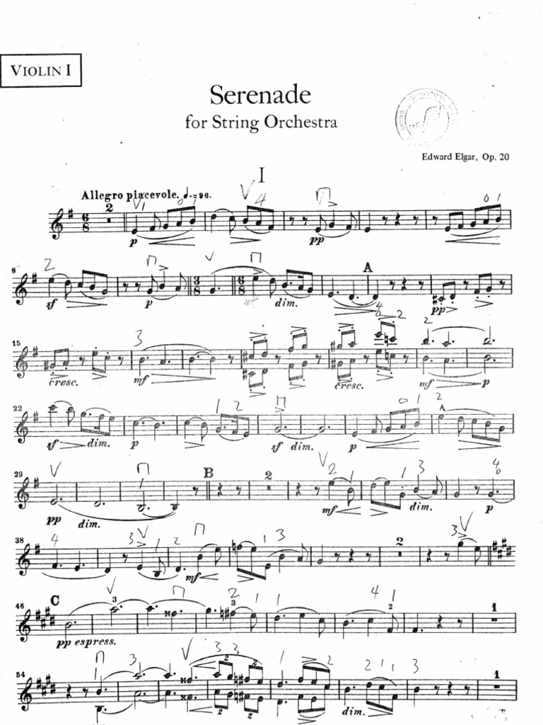 Serenade for String Orchestra Classical Music Musical Forms