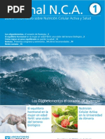 Download Newsletter NCA n1 - Junio 2013pdf by jpa SN162271777 doc pdf