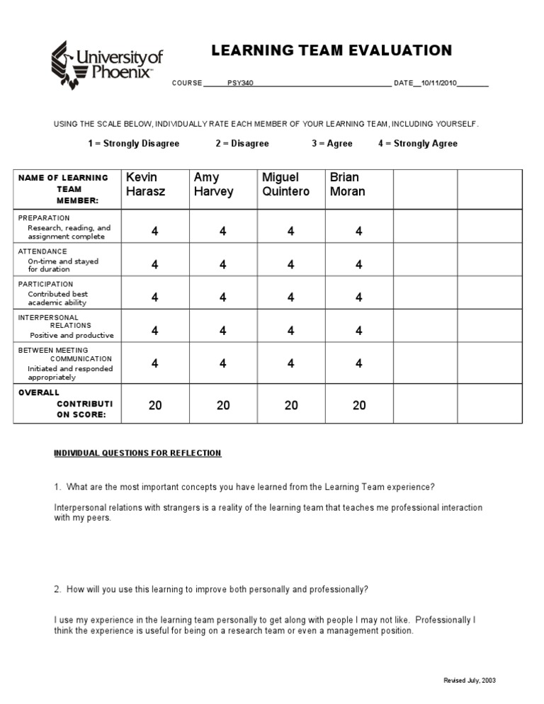 Learning Team Evaluation for Amy Harasz | PDF | Self-Improvement ...