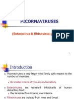 Picorna Viruses