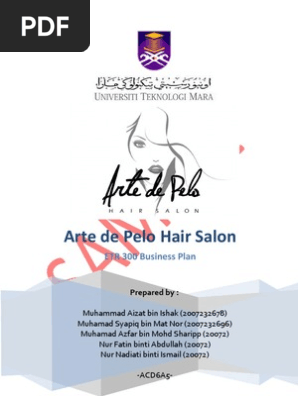 Ent300 Final Project Hair Salon Business