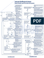 56949576 Diagrama de Doencas Dos Peixes