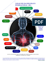 Bachillerato Internacional y Su Realidad