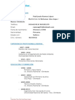 Curriculum Vitae en Wordpaul