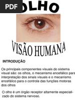 Olho e Visao Humana