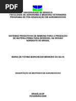 SISTEMAS PRODUTIVOS DE MAMONA  PARA A PRODUÇÃO DE MATÉRIA-PRIMA PARA BIODIESEL NA REGIÃO NORDESTE DO BRASIL