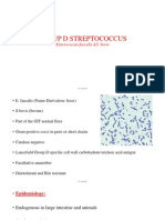 Enterococcus or Group D Streptococci