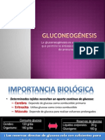 2 Gluconeogenesis