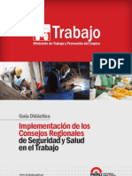 Guia Didactica Para La Implementacion de Los Csst