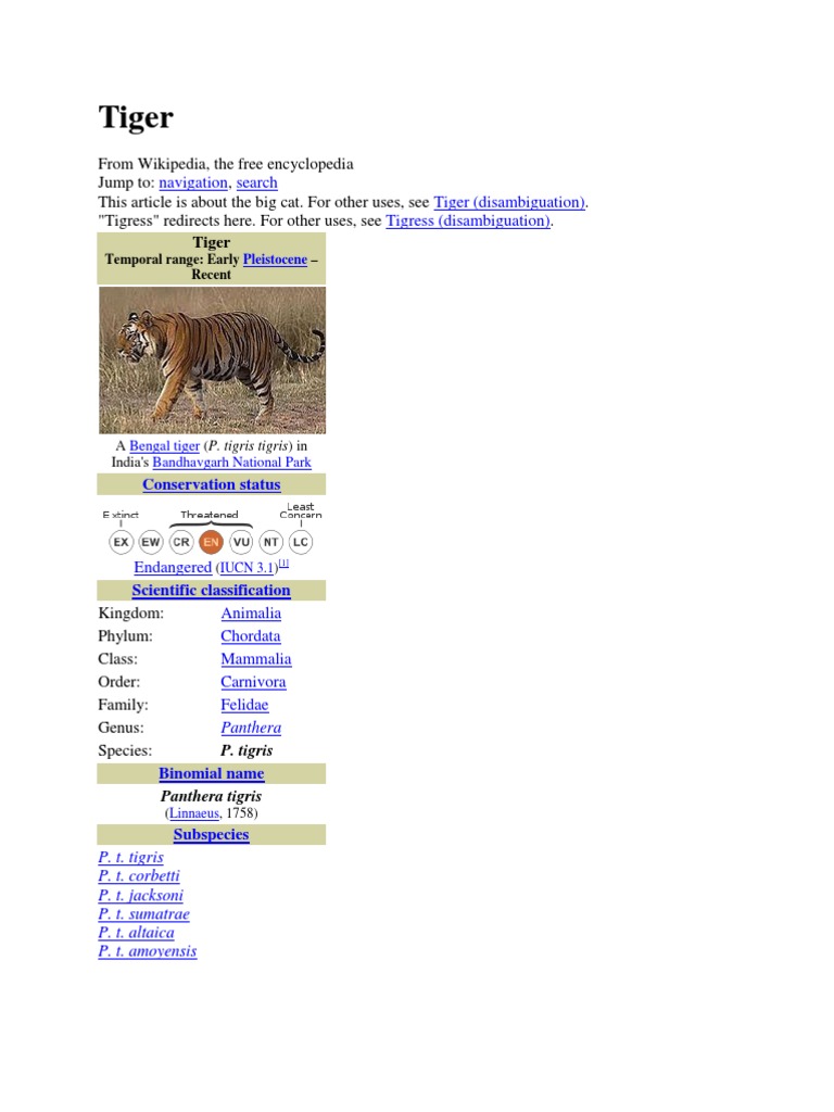 Tiger: Characteristics and Conservation | PDF | Tiger | Lion