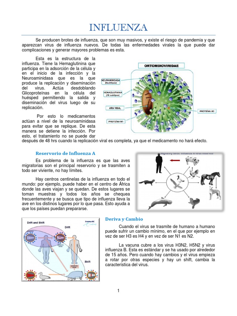 Influenza | PDF | Influenza | Virus de la Influenza A Subtipo H1 N1