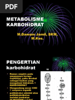 Download Metabolisme Karbohidrat1 by dawamjamil SN16246256 doc pdf