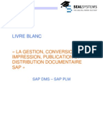 Livre Blanc Sap Dms