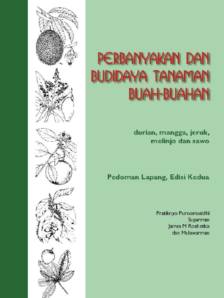 Cara Memperbanyak Tanaman PDF | PDF