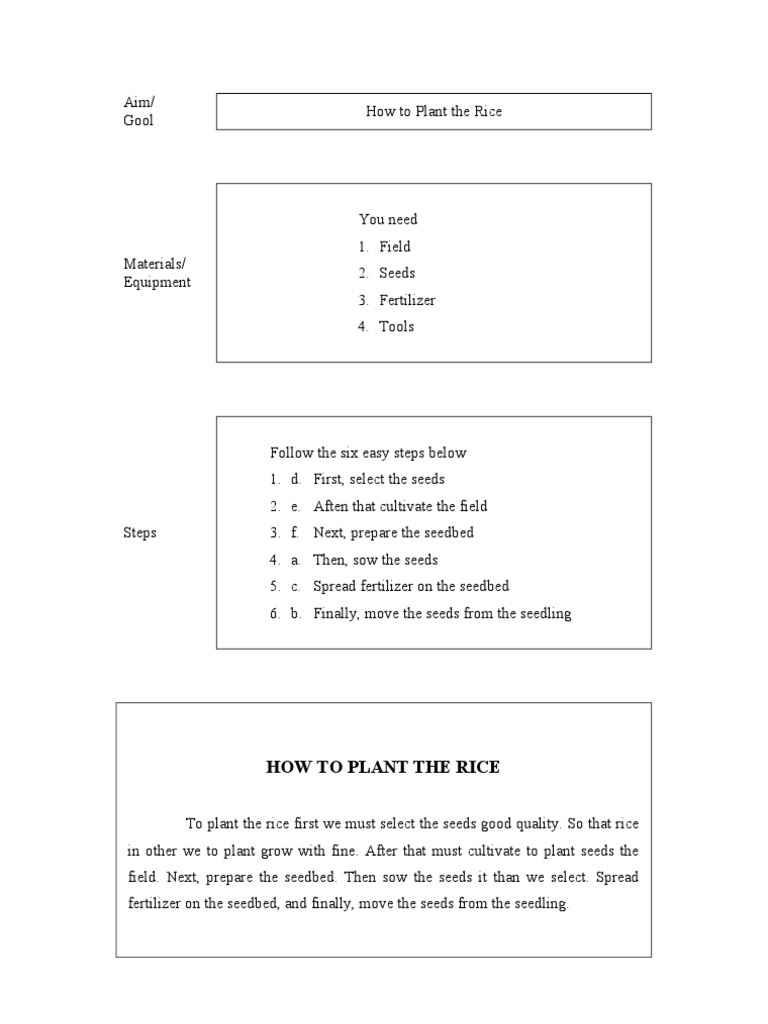 Rice Planting Guide for Beginners | PDF | Home & Garden