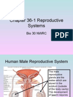 Chapter 36-1 Reproductive Systems