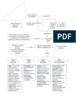 Mapa Conceptual Historia de La Estadiistica