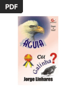 Quem É Você - Águia ou Galinha