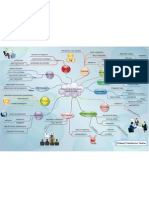 Mapa mental del capitulo 2