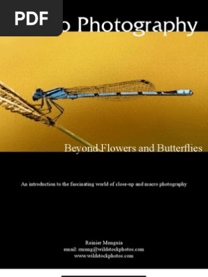 Macro Photography
