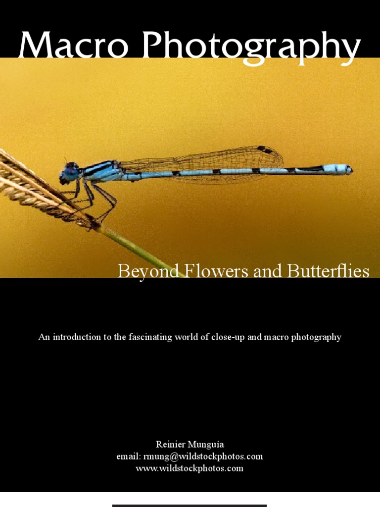 Macro Photography Guide | PDF | Technology & Engineering