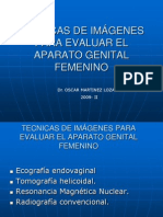 Ecografia Genital Femenina
