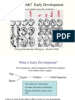 6-7 Early Development