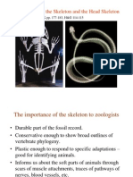 9 - Skeleton I