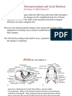 The Dermatocranium and Axial Skeleton: KK Chapter 7,8 H&G Chapter 8,9