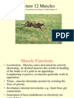 Lecture 12 Muscles: KK Chapter 10 (With Bits From Chapter 9), H&G Chapter 10