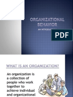 Organization Behavior an Intro