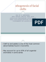 Aetiopathogenesis of Facial Clefts