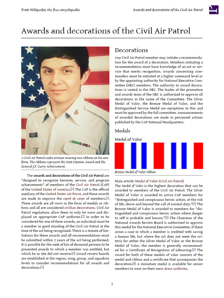 CAP Awards | PDF | Awards And Decorations Of The Civil Air Patrol ...