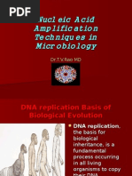 Download Amplification Techniques in Microbiology by tummalapalli venkateswara rao SN16273233 doc pdf
