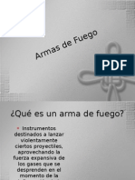 Armas de Fuego PDF