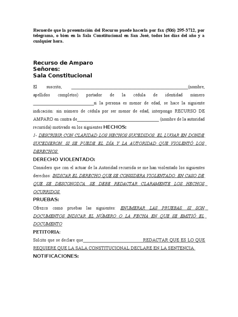 Machote Recurso de Amparo | PDF