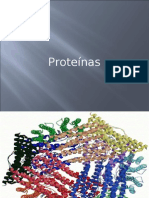 Biologia PPT Aula 06 Proteinas e Enzimas